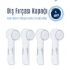 Oral White Diş Fırçası Kapağı 4 Adet